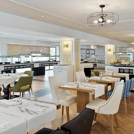 H10 Delfin - Adults Only