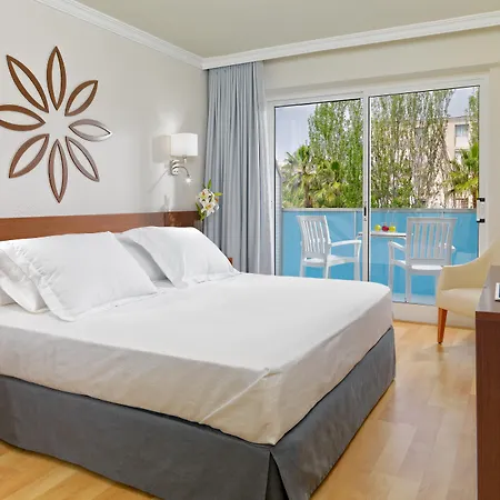 H10 Delfin - Adults Only