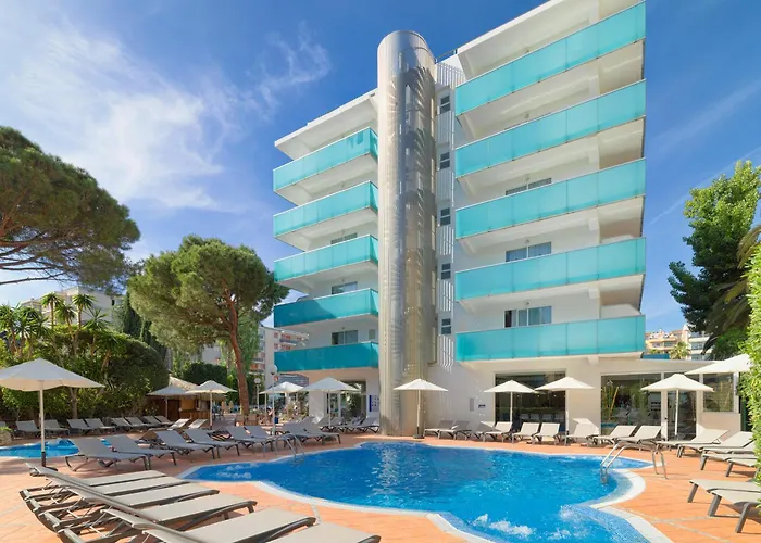 H10 Delfin - Adults Only